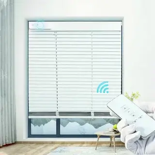Motorized Blinds